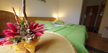 Hotel Villa Adriatica, Supetar Island Brač - Standard Double room - Special Offer